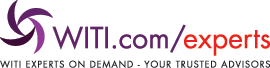 WITI Experts on Demand - Your Trusted Advisors
